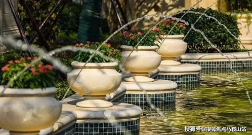 2021花橋 浦西玫瑰園,售樓處營(yíng)銷電話 地址 開(kāi)...